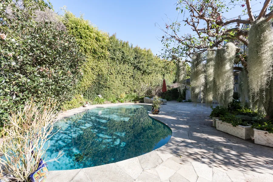 Decorative Delight Photo 1