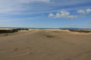 Pismo Beach Sand Dunes Photo 3