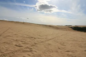 Pismo Beach Sand Dunes Photo 4