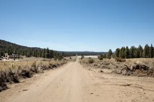 Mountain Woods Photo 4