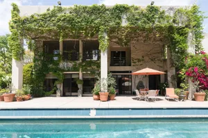 Ivy Covered Dream Photo 2