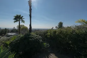 Paradise Pool Pad Photo 3