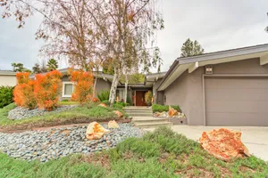 Ruby's Hot Rod Photo 4