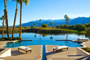 The Desert Griffin Photo 4