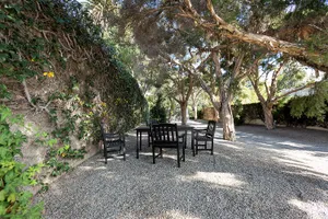 Touch of Grey Photo 3