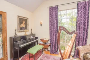 Spanish Harp Photo 2