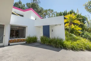 Tropical Hollywood Photo 3