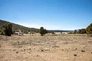 Mountain Woods Photo 2