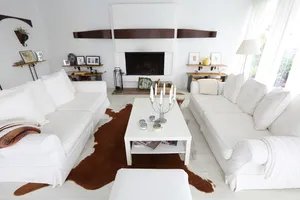 Bold &amp; Retro Vibes Photo 4