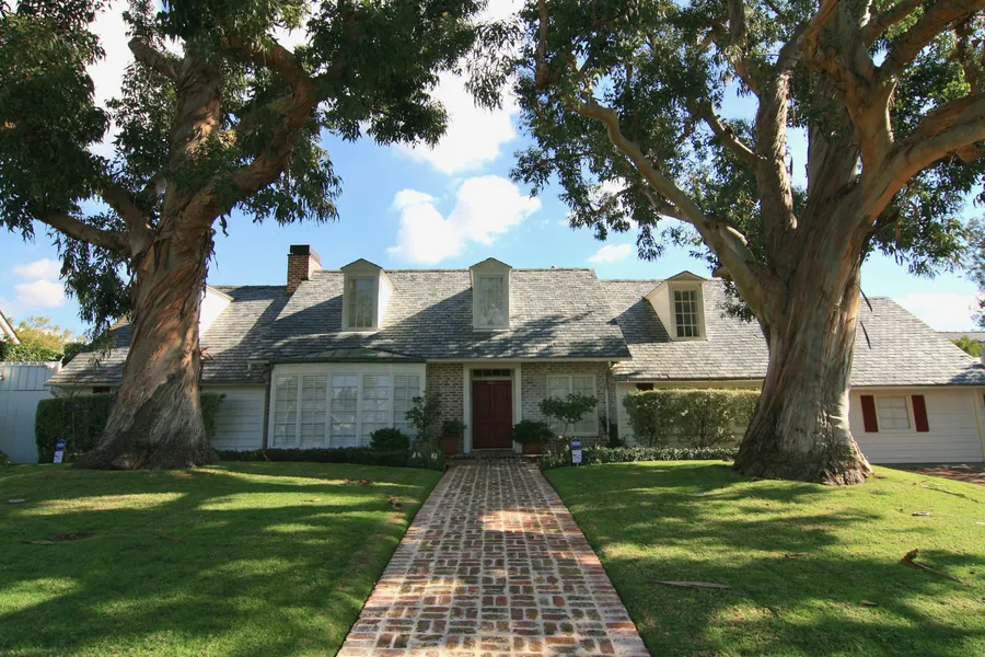 Tree Framed Americana Photo 1