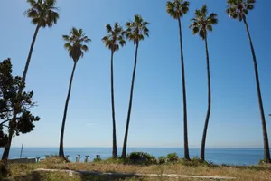 Ocean Studios Photo 4