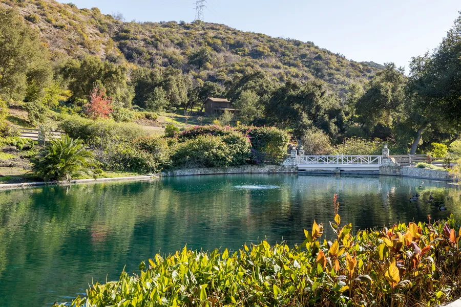 The Amber Estate Photo 1