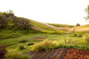 Malibu Garden Photo 3