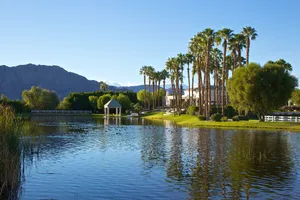 The Desert Griffin Photo 3