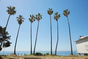 Ocean Studios Photo 3