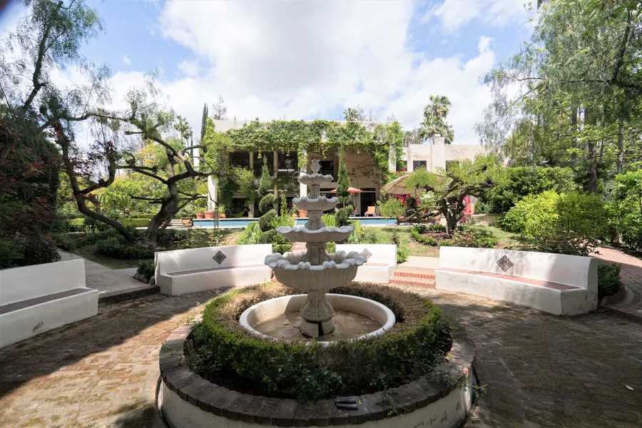 Ivy Covered Dream Photo 1