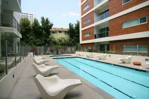 The Hollywood No.311 Photo 3