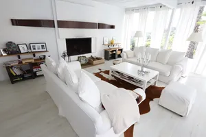 Bold &amp; Retro Vibes Photo 2