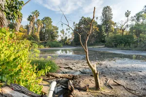 Gardens &amp; Peacocks Photo 3