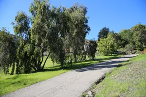 Hidden Spanish Ranch (sold) Photo 4