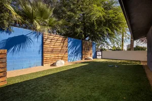 Modern Desert Americana Photo 3