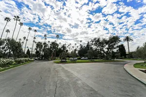 Day of the Dead Photo 4