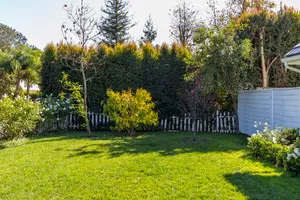 White Rose Americana Photo 4