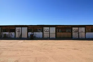 The Road Warrior Photo 2