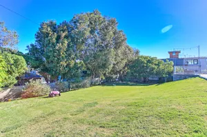 Tropical Concrete Photo 2