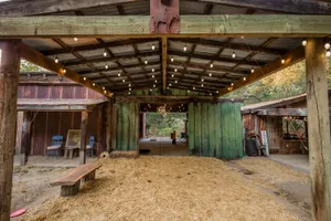 Gypsy Cowboy Photo 3