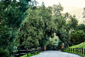 Topanga Compound | The Black Villa Photo 2