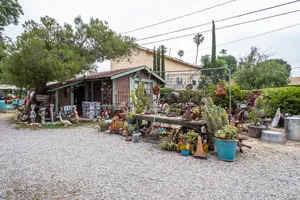 The Junk Yard Photo 3