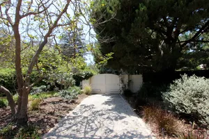 Supreme Adobe Photo 3