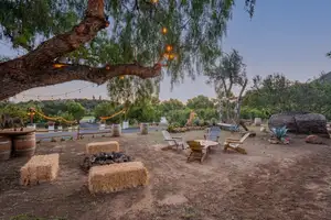 Pampas Farm Photo 4