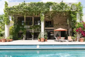 Ivy Covered Dream Photo 2