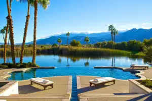 The Desert Griffin Photo 4