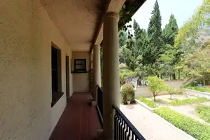 Old Hollywood Revival Photo 4