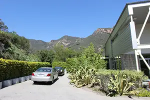 Industrial Nature Photo 3