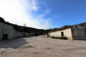 Zombie Town Photo 3