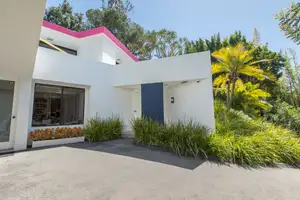 Tropical Hollywood Photo 3