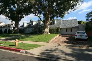 Tree Framed Americana Photo 4