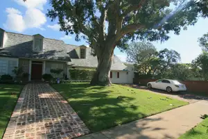 Tree Framed Americana Photo 3