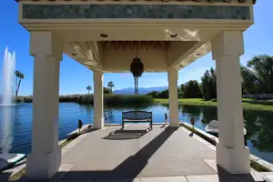 The Desert Griffin Photo 2