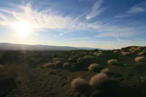 Black Sands Photo 3