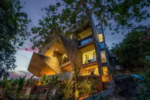 Hollywood Horizon Photo 3