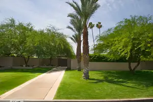 Two Palms Photo 4