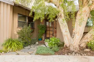 Mystic Buddha Photo 3