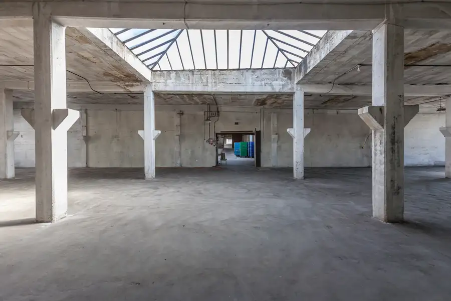 Industrial Skylight Photo 1