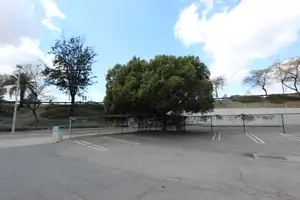 Parking Lot No.75 Photo 4