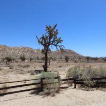 desert-country-club-092